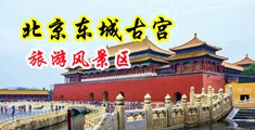 大鸡巴插入小穴视频中国北京-东城古宫旅游风景区